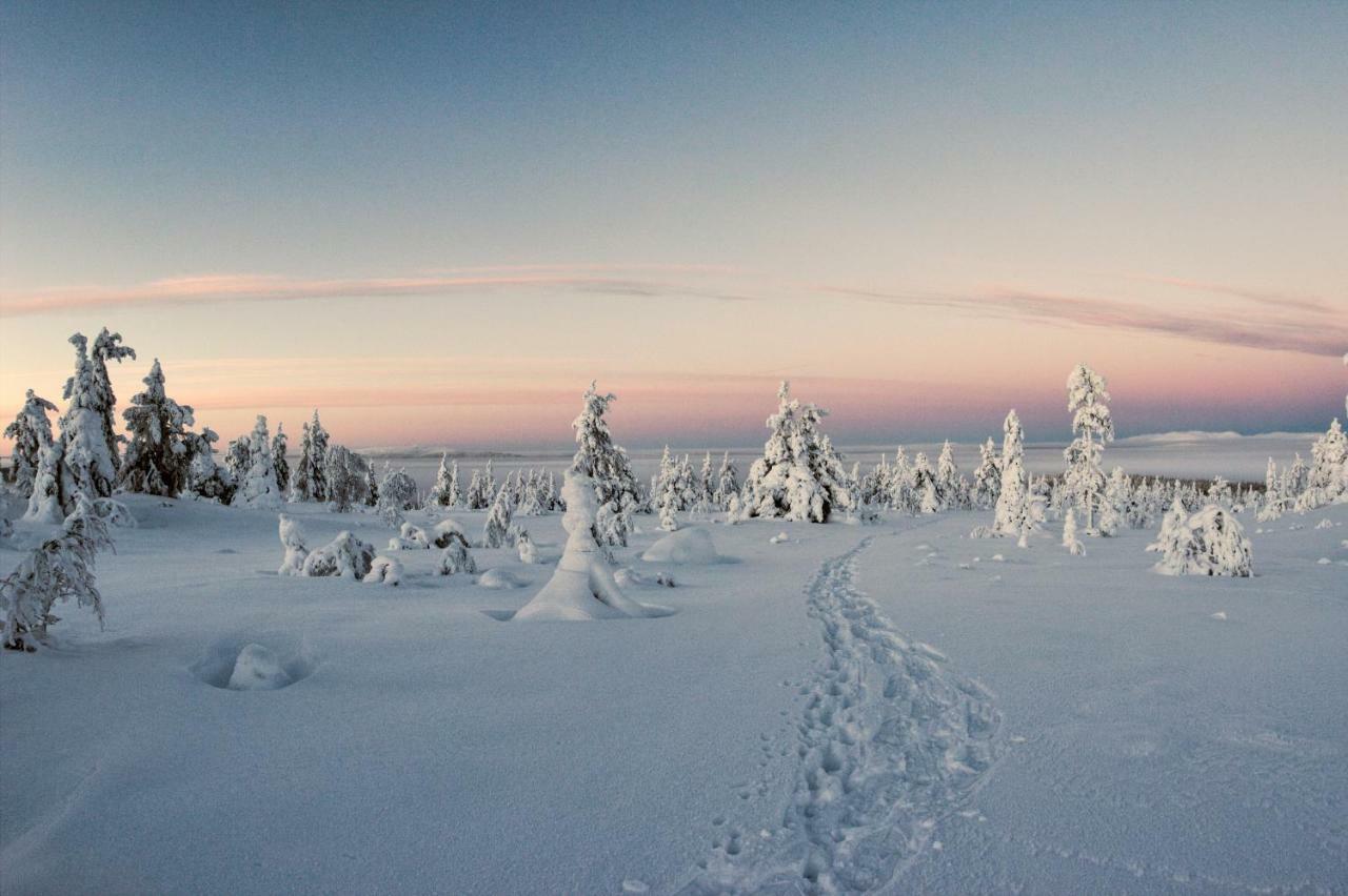 Lapland Dream Villas Rauhala Luaran gambar